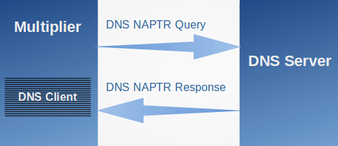 DNS test